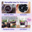 USDA Certified Organic Dried Elderberries - Bulk - 1 lb - Natural Ingredients