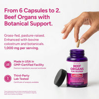 Women’s Primal Beef Organ Supplement
