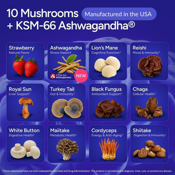 Sugar-Free Mushroom Gummies with KSM 66 Ashwagandha, Natural Stress Support