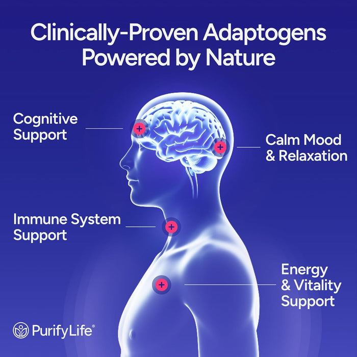 Sugar-Free Mushroom Gummies - 10 Mushroom Complex