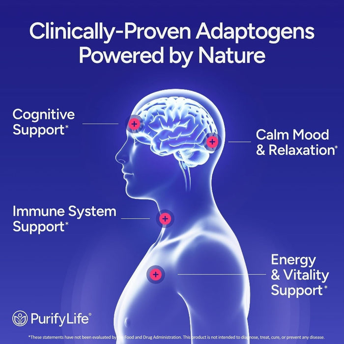 Sugar-Free Mushroom Gummies with KSM 66 Ashwagandha, Natural Stress Support