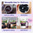 USDA Organic Dried Elderberries 1lb, Whole Black Elderberry Bulk