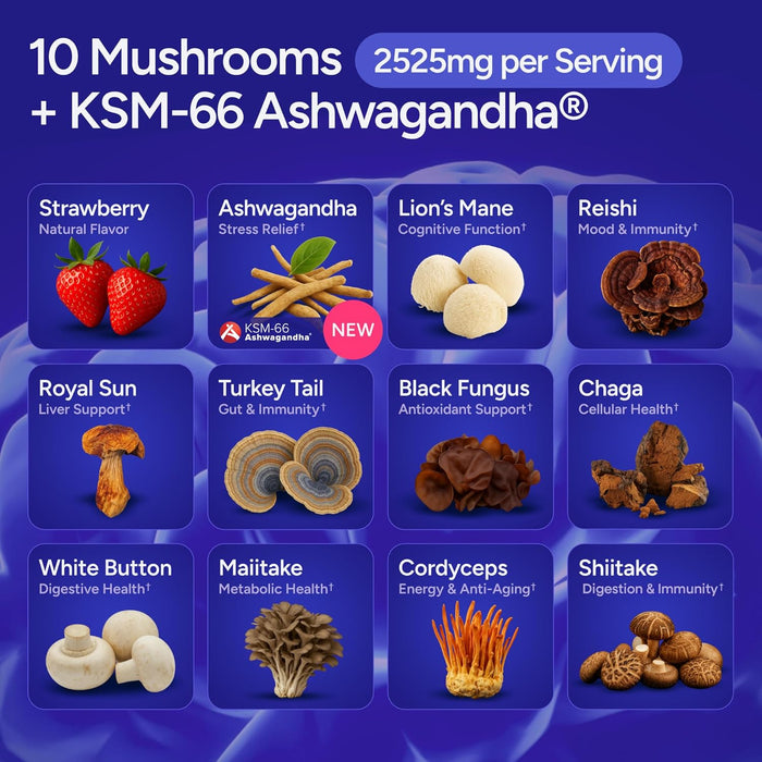 Sugar-Free Mushroom Gummies - 10 Mushroom Complex