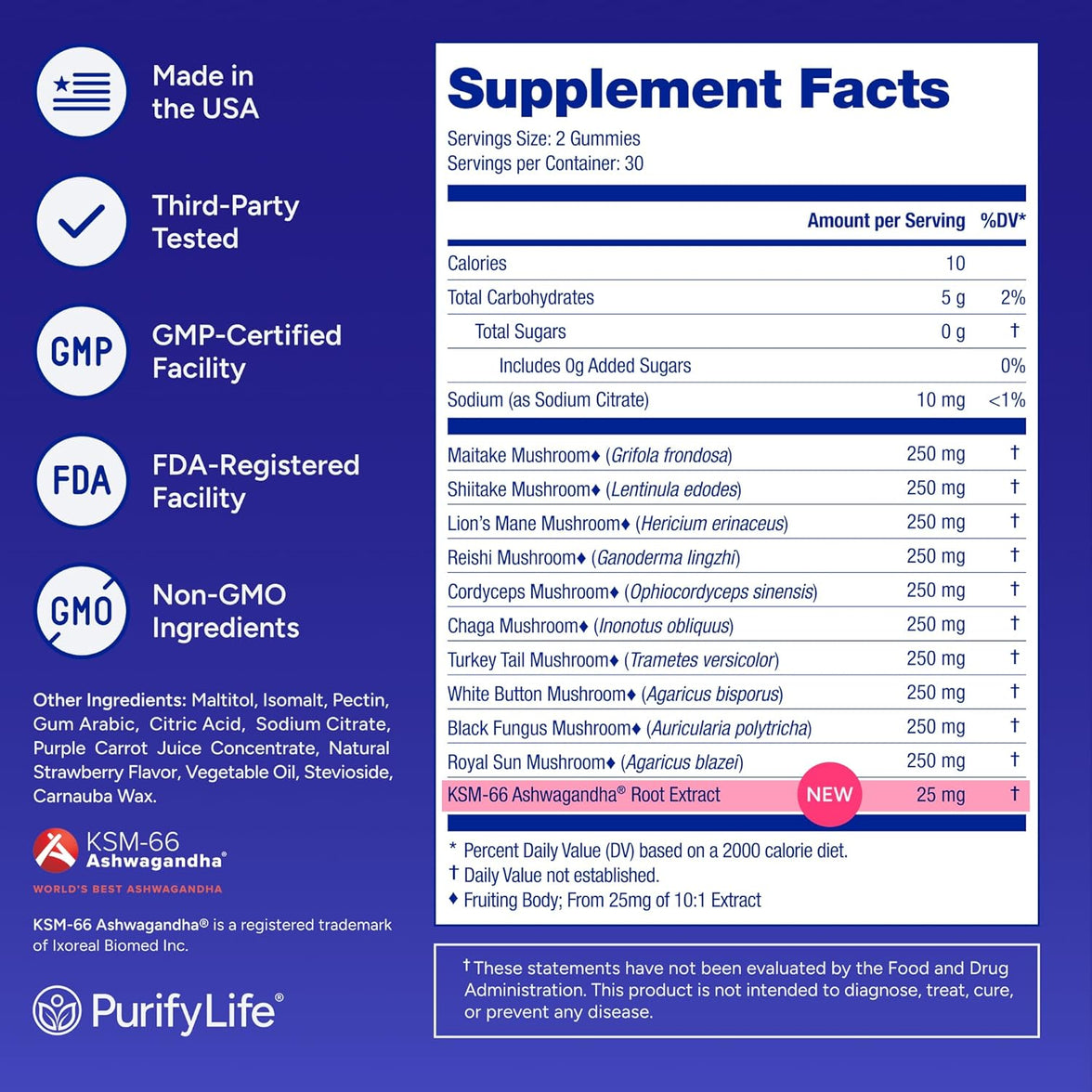 Sugar-Free Mushroom Gummies - 10 Mushroom Complex