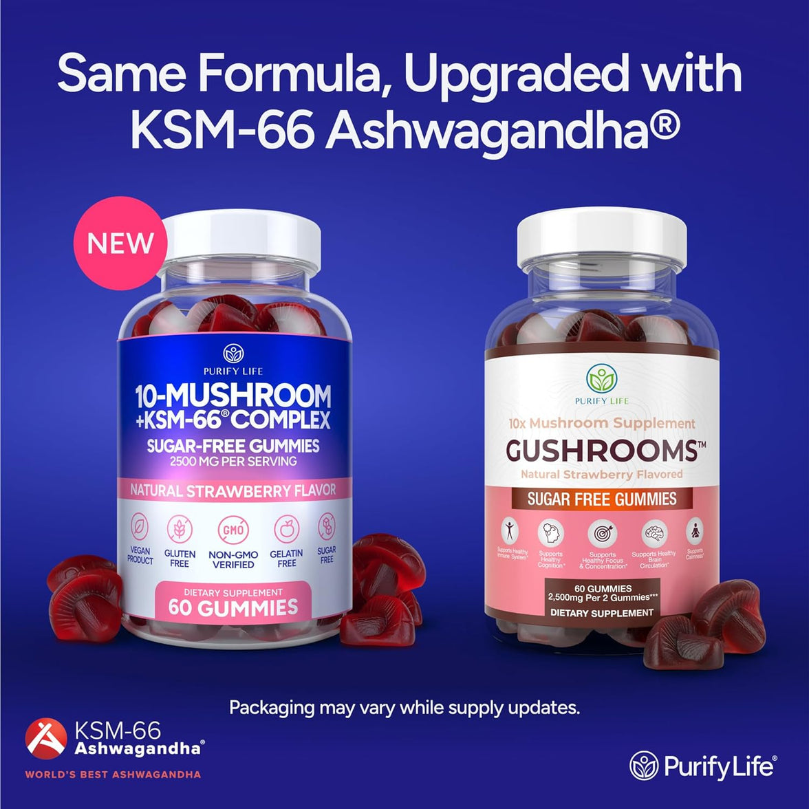 Sugar-Free Mushroom Gummies - 10 Mushroom Complex
